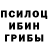 Галлюциногенные грибы Cubensis Bakrullo Nasridinov