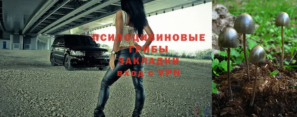альфа пвп Заводоуковск